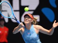  莎拉波娃经典比赛 