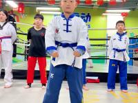 跆拳道常规赛掀起高潮，雪域白虎队逆转三湘天狼队，高压逼抢奏功——更衣室氛围正向的简单介绍