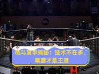  拳击大师赛掀起高潮，庐州雷豹队强势横扫燕赵雄狮队，老将里程碑之夜——传控打穿防线