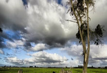  莫斯科中央陆军欧篮联 